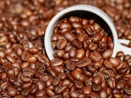 Secex aponta queda de 8,4% nas exportações de café