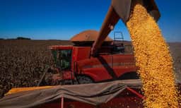 Conab aponta colheita de soja em 98,3% da área semeada