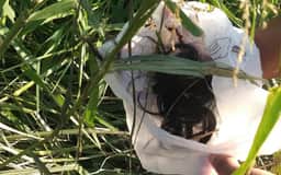 Corpo de jovem morta por namorado segue desaparecido em MG