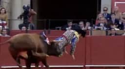 Matador é atingido com chifrada no reto - Foto: Reprodução X