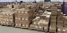 Vigilância sanitária interdita depósito de produtos da WePink