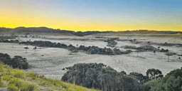 Frio intenso derruba temperaturas e registra -3,3°C em SC