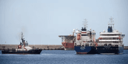 Hantavírus: operação em navio termina após os últimos desembarques