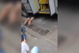 Idoso é atropelado por ônibus no Centro de BH