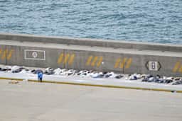 Venezuelanos improvisam necrotério em porto de La Guaira