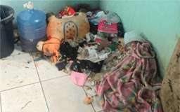 MG: criança de 2 anos é encontrada sozinha em meio ao lixo; mãe é presa