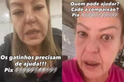 SP: Dona de ONG é presa por maltratar 136 animais e manter 14 gatos em freezer