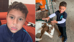 Menino autista de 5 anos está desaparecido no Paraná