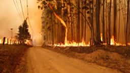 Brasil registra queda de 58% na área queimada por incêndios em 2025