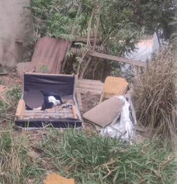 Recém-nascido achado abandonado em sofá em Sabará