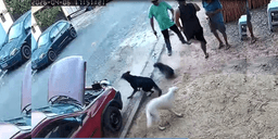 SP: Vereador é cassado após ser flagrado atirando para espantar cães