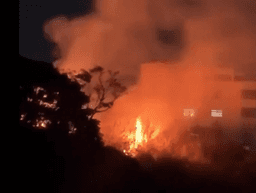 Incêndio atinge área de vegetação e ameaça casas em BH
