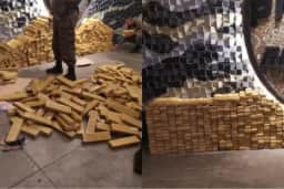 Quase uma tonelada de maconha foi apreendida nessa segunda-feira (21) • PMMG