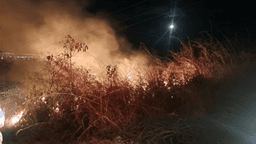 Montes Claros tem incêndio na MGC-135 com destruição de cinco hectares