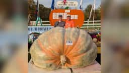 Produtor dos EUA cultiva abóbora de 1.432 kg e busca recorde mundial