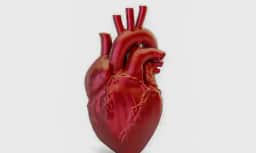 Brasil pode ter aumento de 10,8% em mortes cardiovasculares até 2030