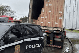 SP registra apreensão de 10 milhões de cigarros