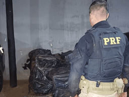 PRF apreende 1,1 tonelada de maconha na BR-262