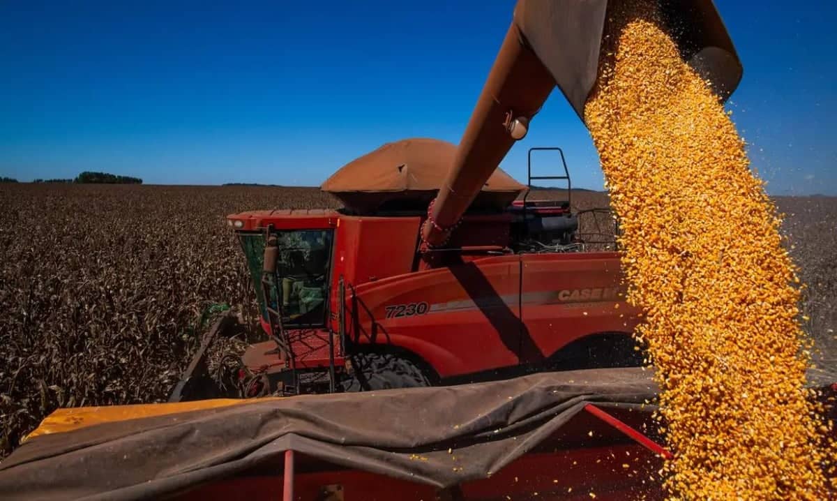 Conab aponta colheita de soja a 98,8% da área semeada