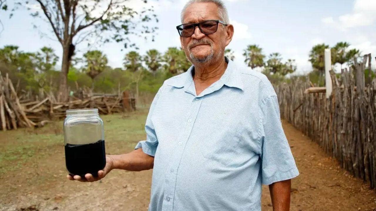 ANP confirma presença de petróleo cru em sítio no Ceará