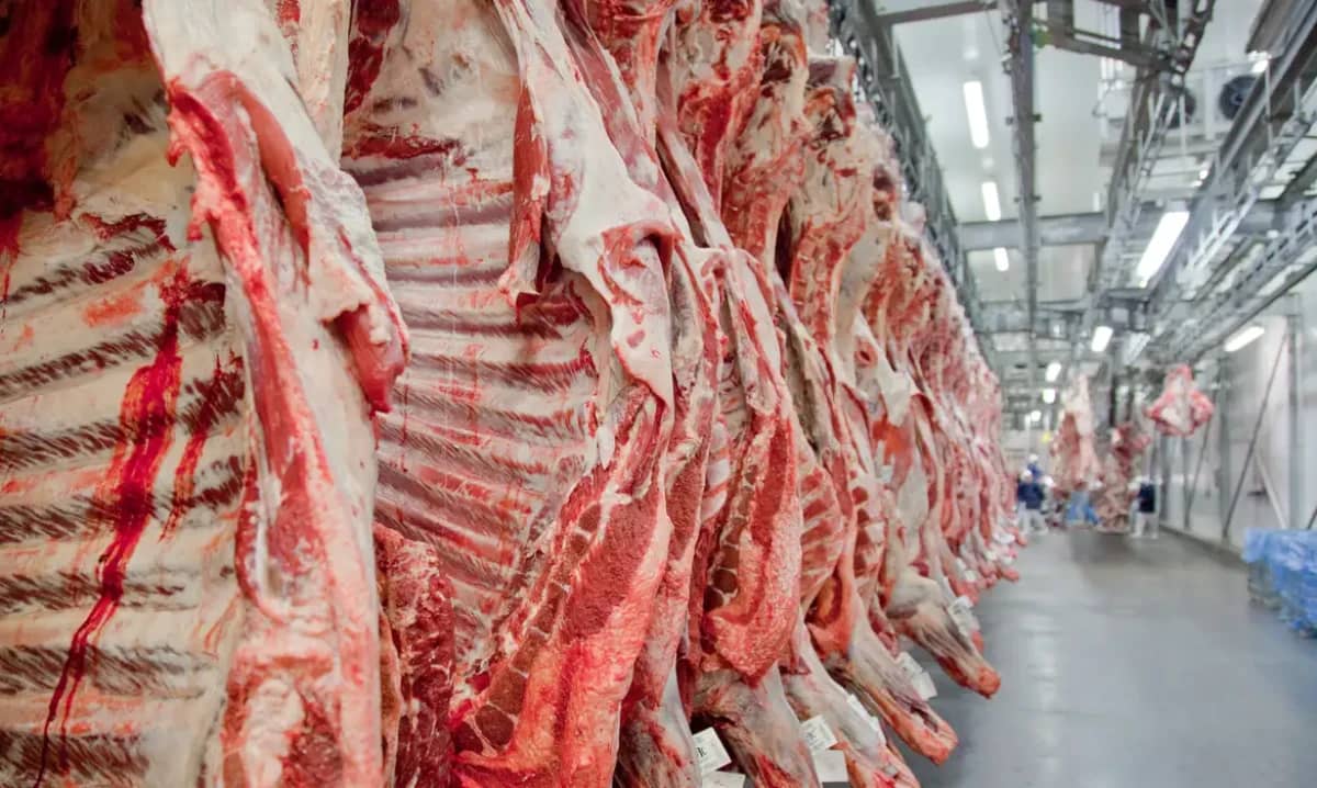 União Europeia veta importações de carnes, ovos e animais do Brasil