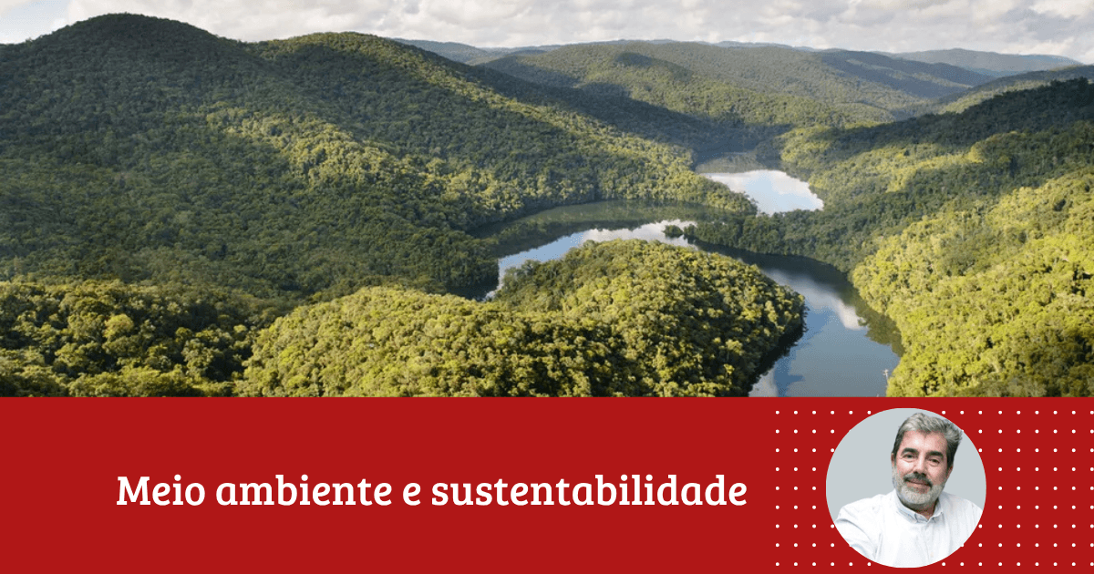 Enio Fonseca: ''Atlas da Mata Atlântica registra menor índice histórico de desmatamento em 40 anos de monitoramento''