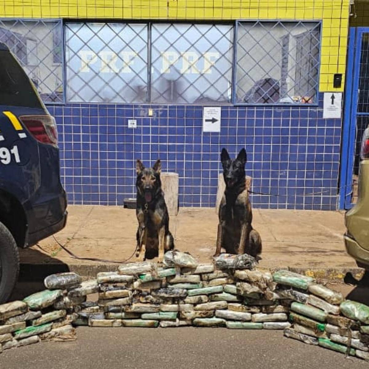 PRF apreende crack e cocaína em pneus de caminhão em MG