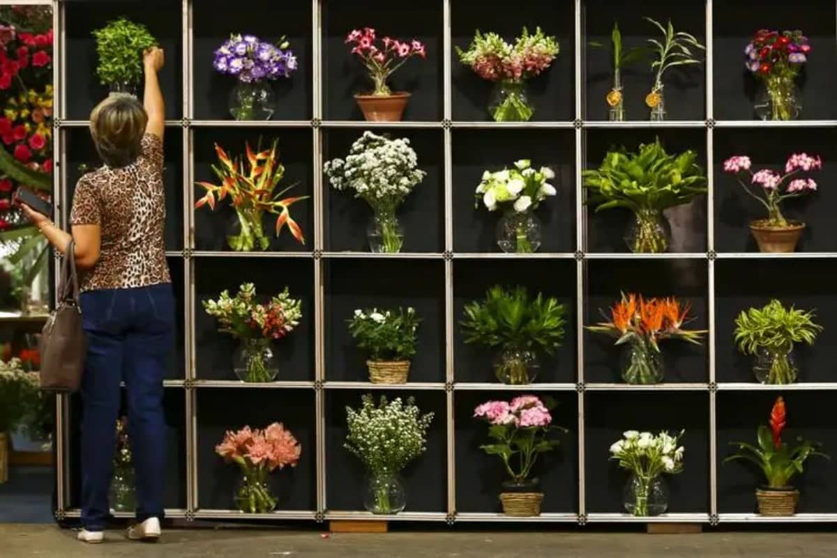 Dia das Mães gera aumento no preço das flores em BH