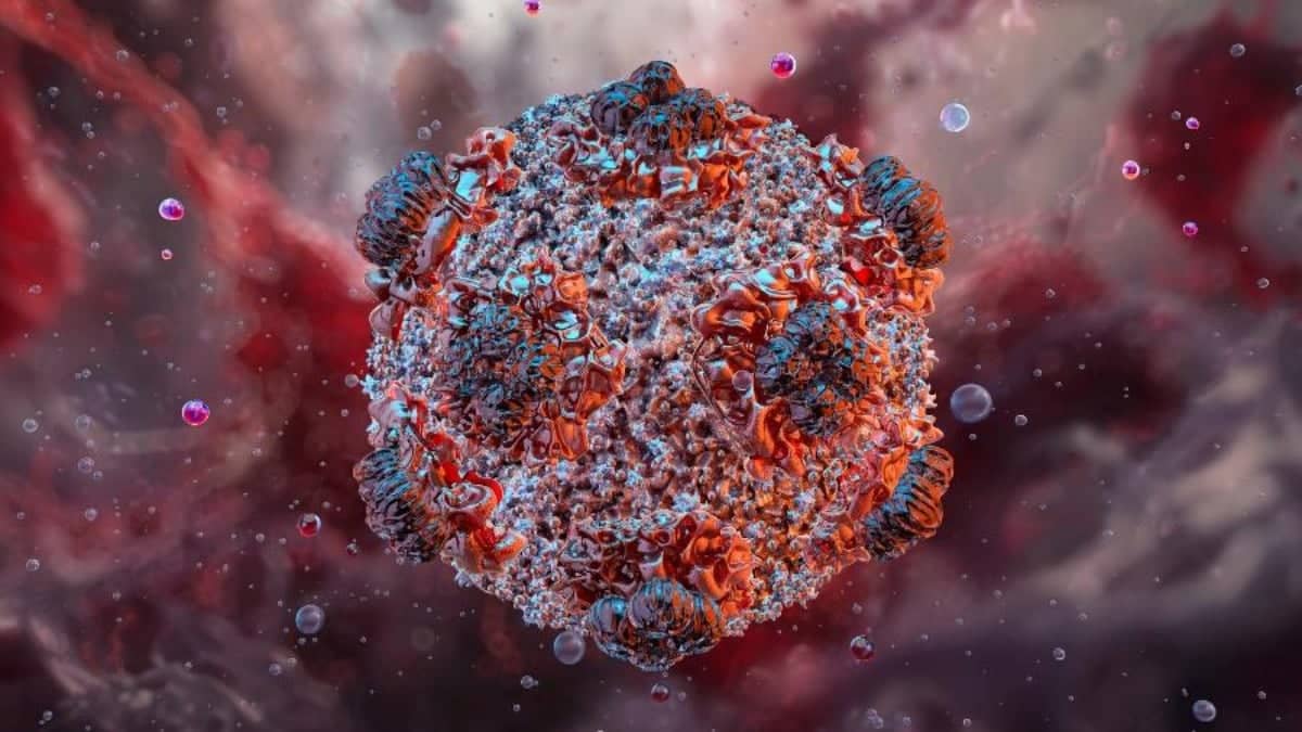 OMS diz que risco do hantavírus é mínimo e afasta chance de pandemia