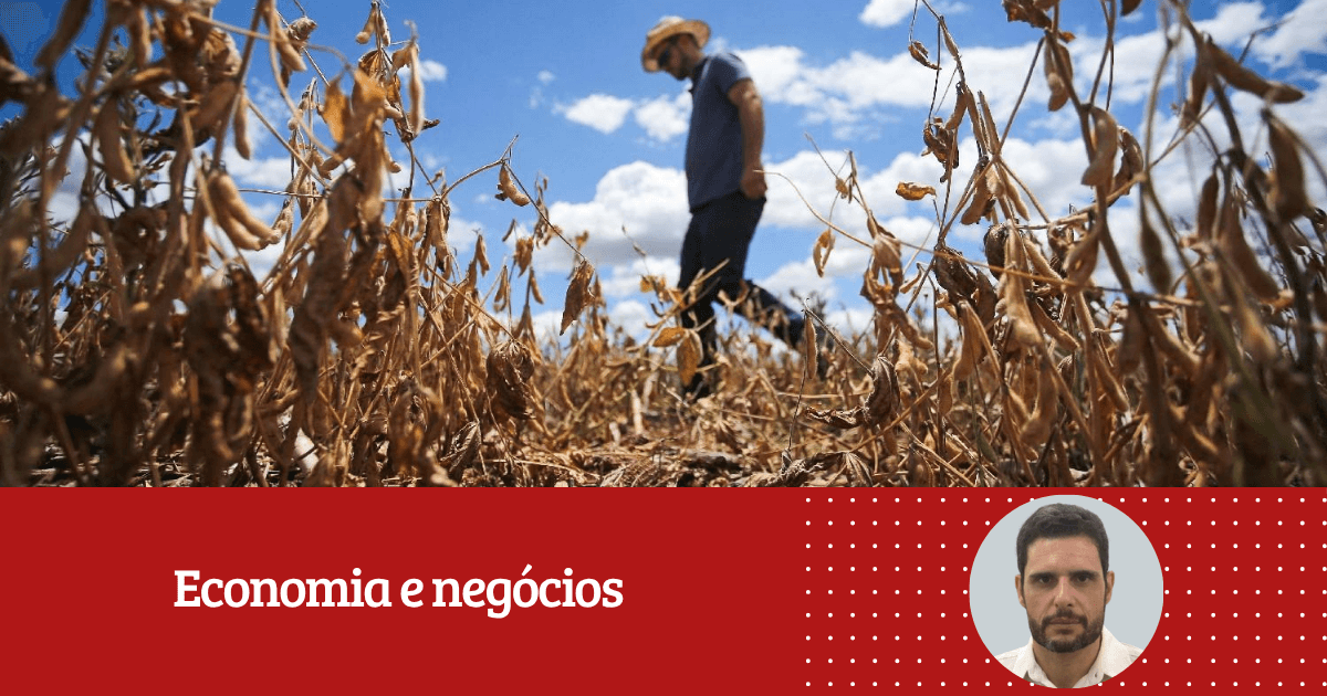 Leonardo Luz: 'Os impactos econômicos do novo El Niño já começam a ser sentidos'
