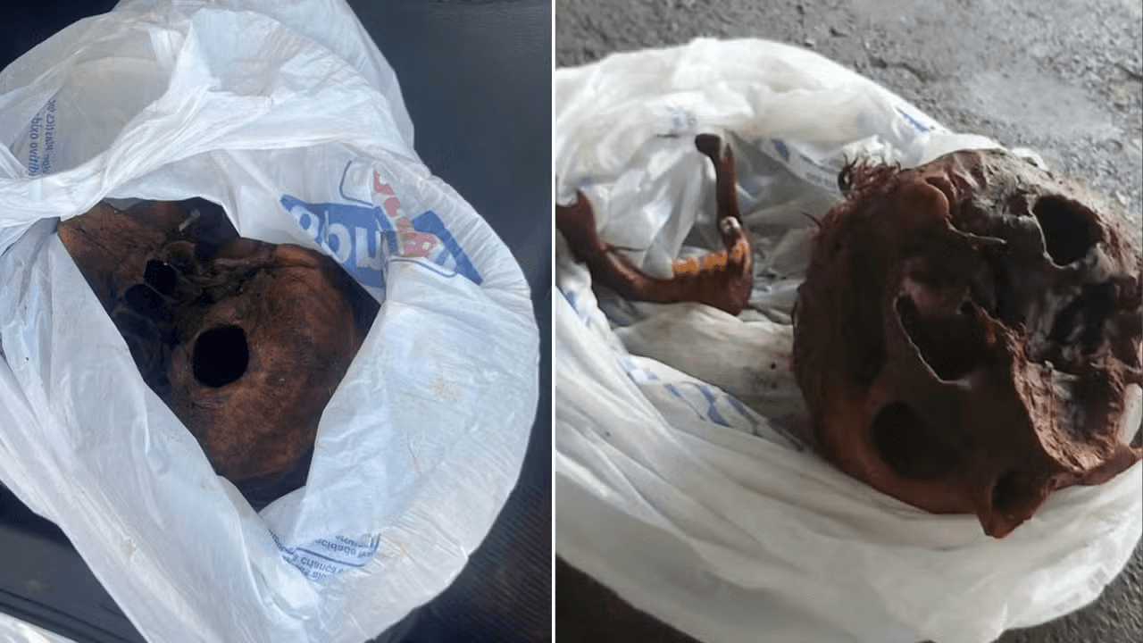 Duas pessoas são presas por suspeita de roubo de crânio em cemitério de Contagem