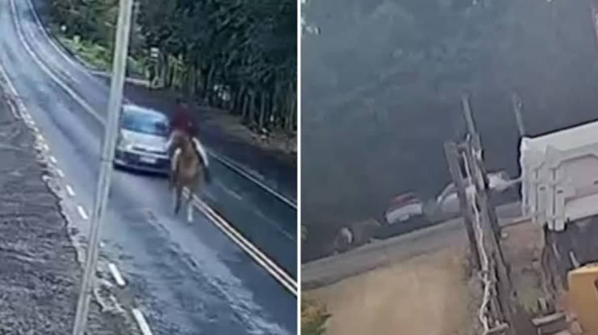 Acidente entre carros e cavalo deixa três feridos em Esmeraldas, na Grande BH