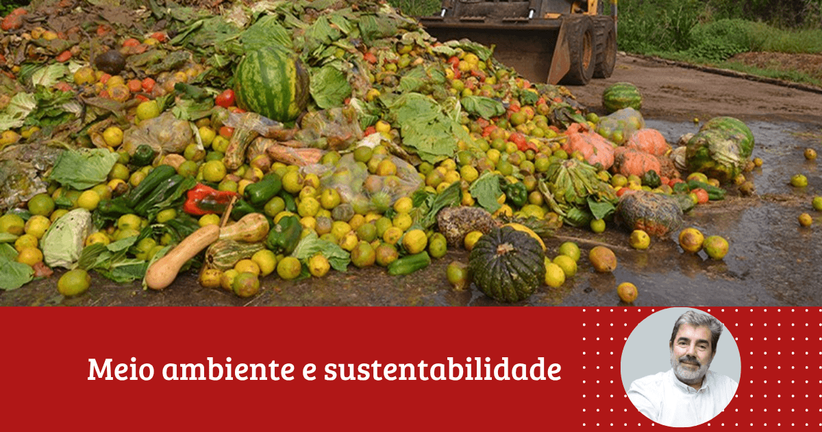 Enio Fonseca: "O Desperdício de Alimentos no Brasil: Desafios, Dados e Impactos"