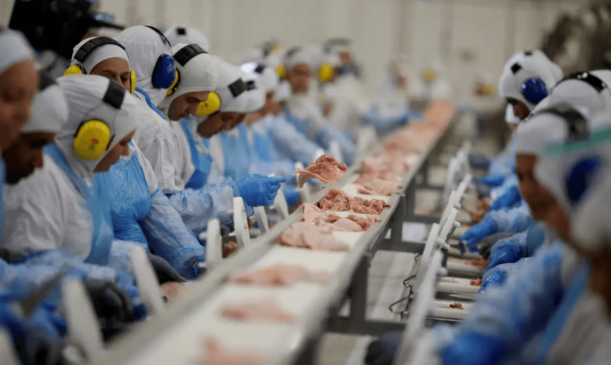 México suspende compras de frangos e outros produtos avícolas do Brasil