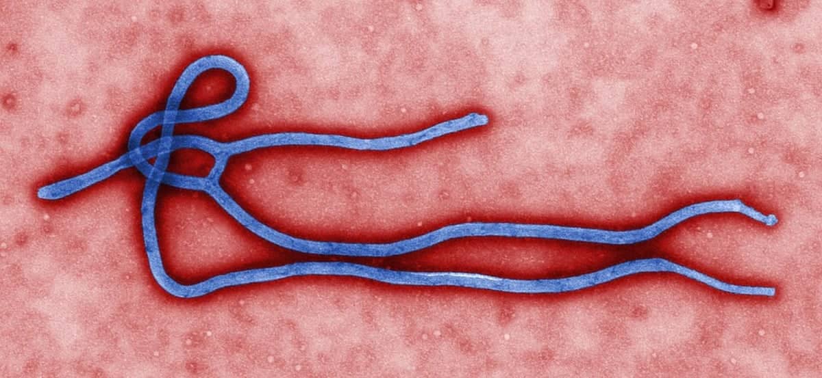 Novo caso de ebola na Nigéria amplia preocupação regional na África 