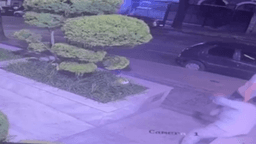 Advogado agride babá em Belo Horizonte