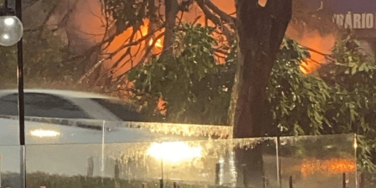 Raio atinge árvore que cai sobre carro em BH