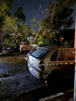 Quatro árvores caem e atingem veículos no Barreiro, em BH