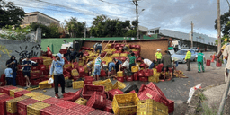 Caminhão tomba e carga de laranjas é saqueada em BH