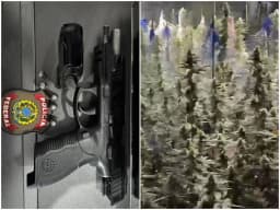 PF e polícia espanhola prendem suspeito por tráfico de cocaína