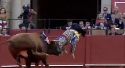 Toureiro é ferido gravemente por touro em feira na Espanha