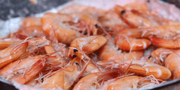 Homem é preso com carga de camarão roubada na BR-116