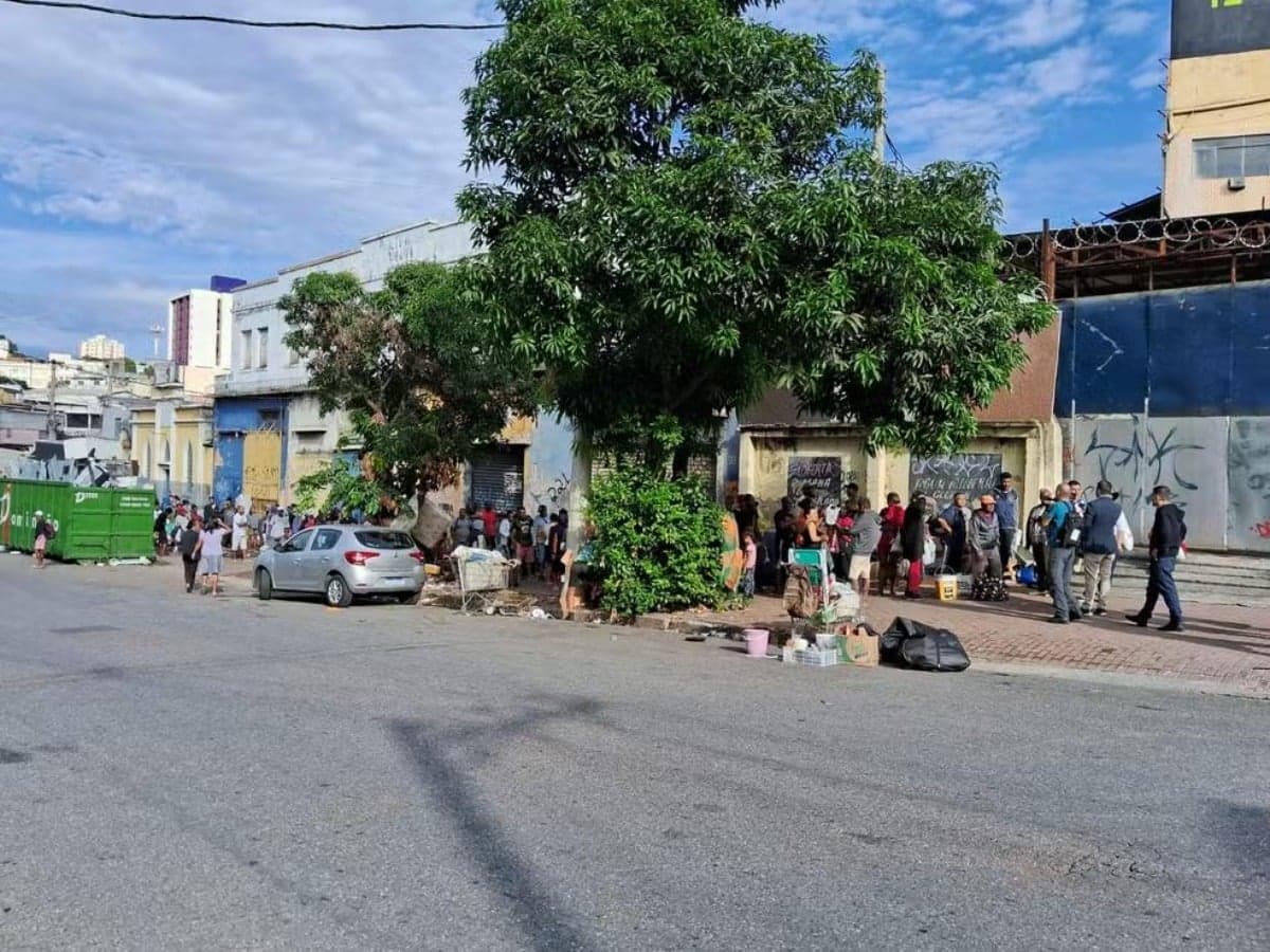 distribuição de peixe bh