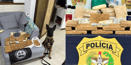 SC: Aliciador de 'mulas humanas' ligado a traficante russo é preso