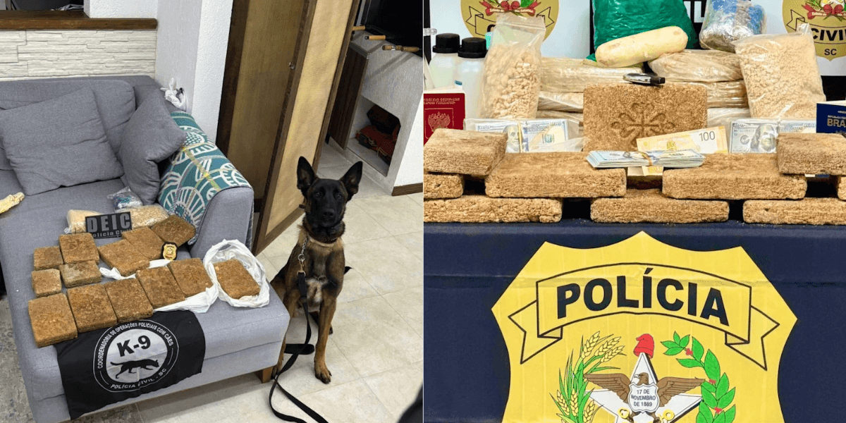 SC: Aliciador de 'mulas humanas' ligado a traficante russo é preso