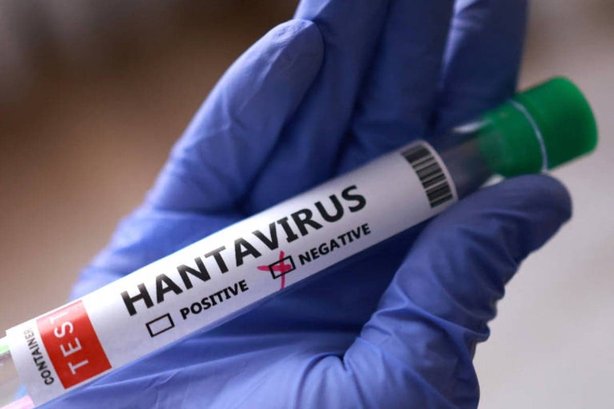 Teste de hantavírus