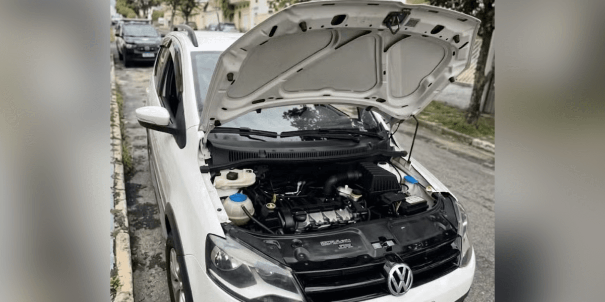 Carro roubado estava sendo anunciado com placa clonada — Foto: Polícia Civil
