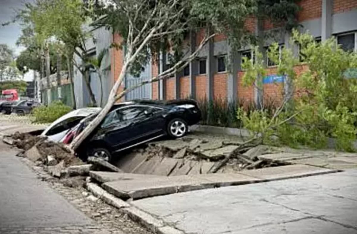 Foto: Divulgação / PMPA / Porto Alegre 24 horas