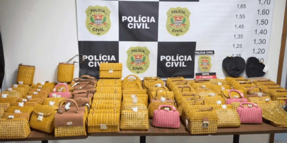 Mais de 100 bolsas de luxo da Serpui, avaliadas em R$ 260 mil, foram recuperadas pela polícia depois de terem sido furtadas — Foto: Reprodução/Polícia Civil de SP