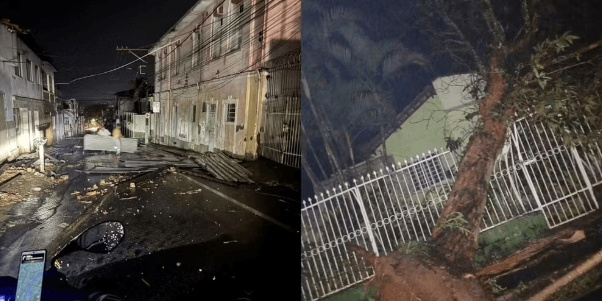 Temporal com ventos fortes derruba árvores, bloqueia vias e deixa moradores sem energia em MG — Foto: Reprodução Redes Sociais